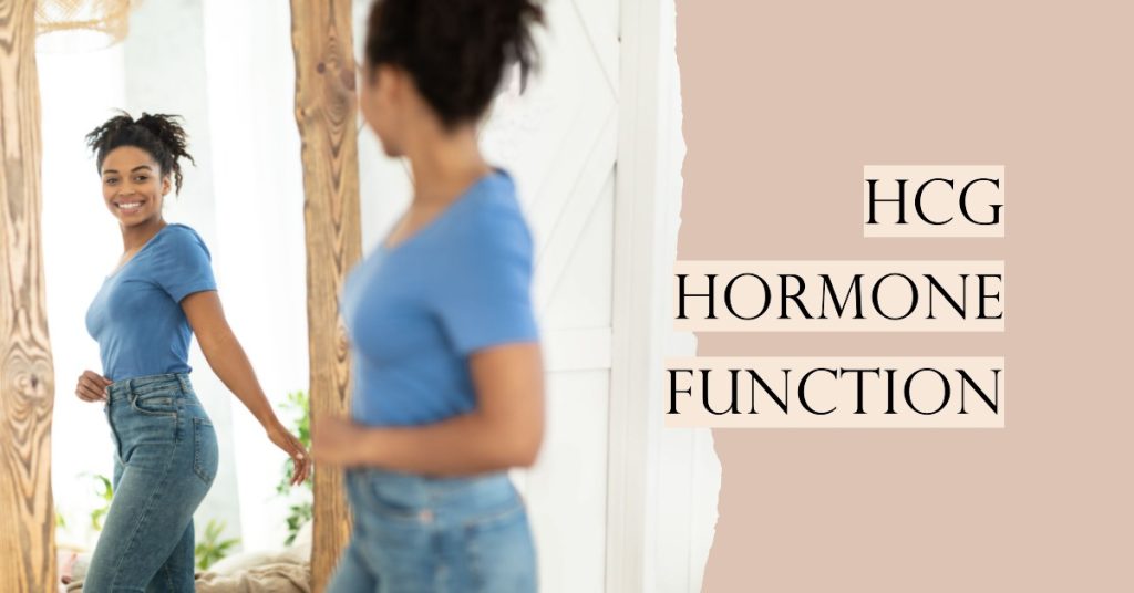 hcg hormone function